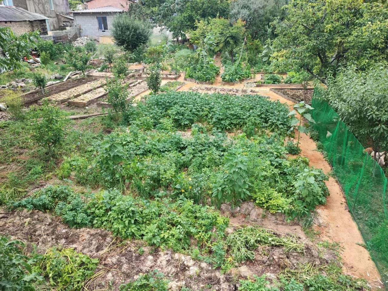 Berdavan Guesthouse Εξωτερικό φωτογραφία
